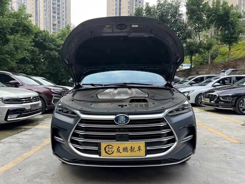 BYD Tang New Energy — миниатюра 22