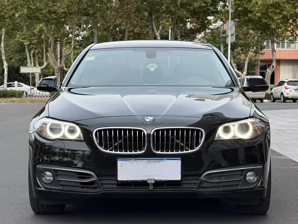 BMW 5 Series — миниатюра 2