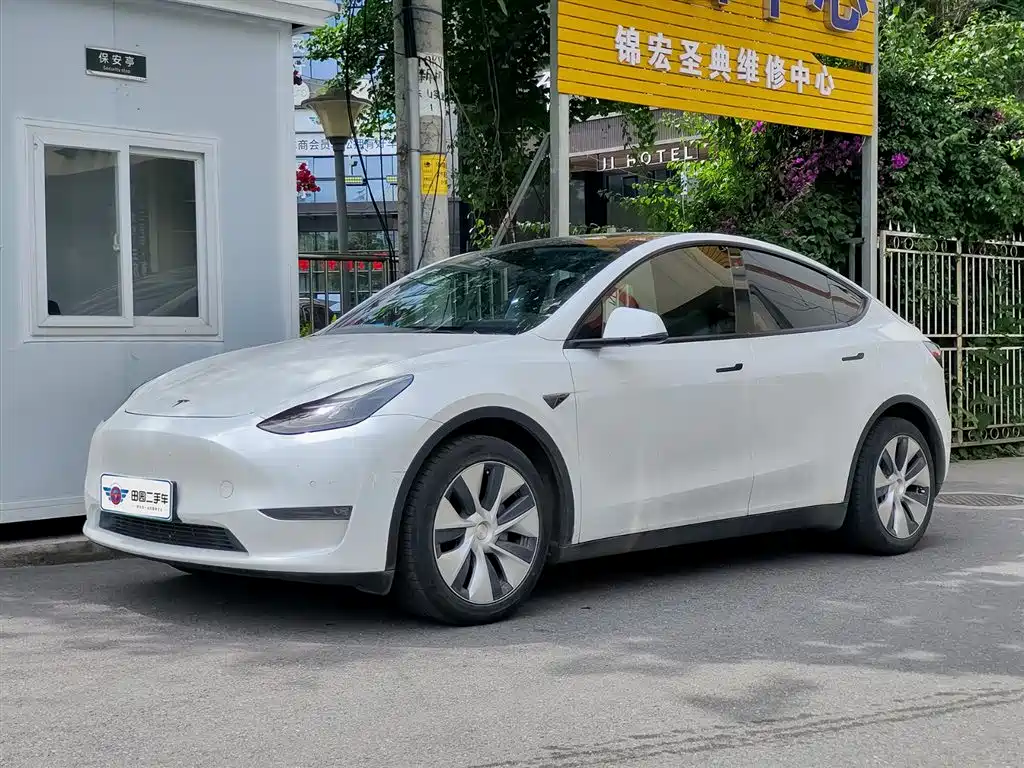 Tesla Model Y 2021 Standard Range RWD Edition