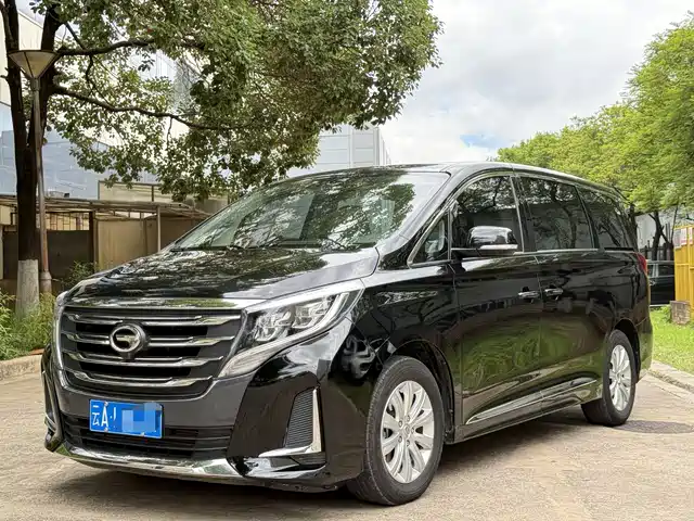 2020 GAC GN8