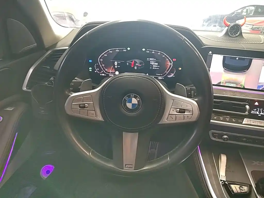 BMW X5 — миниатюра 11