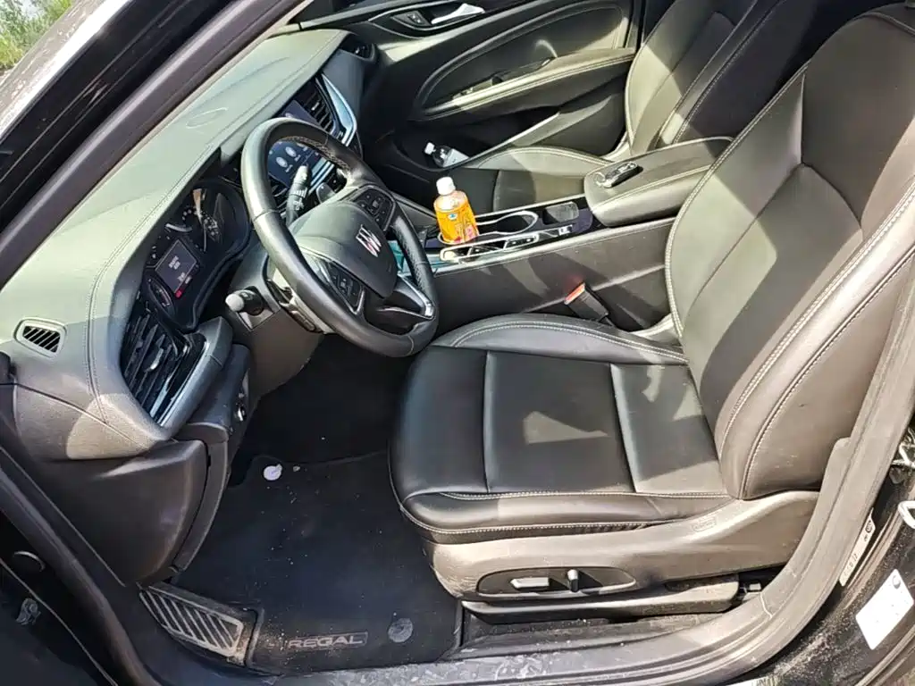 Buick Regal — миниатюра 15