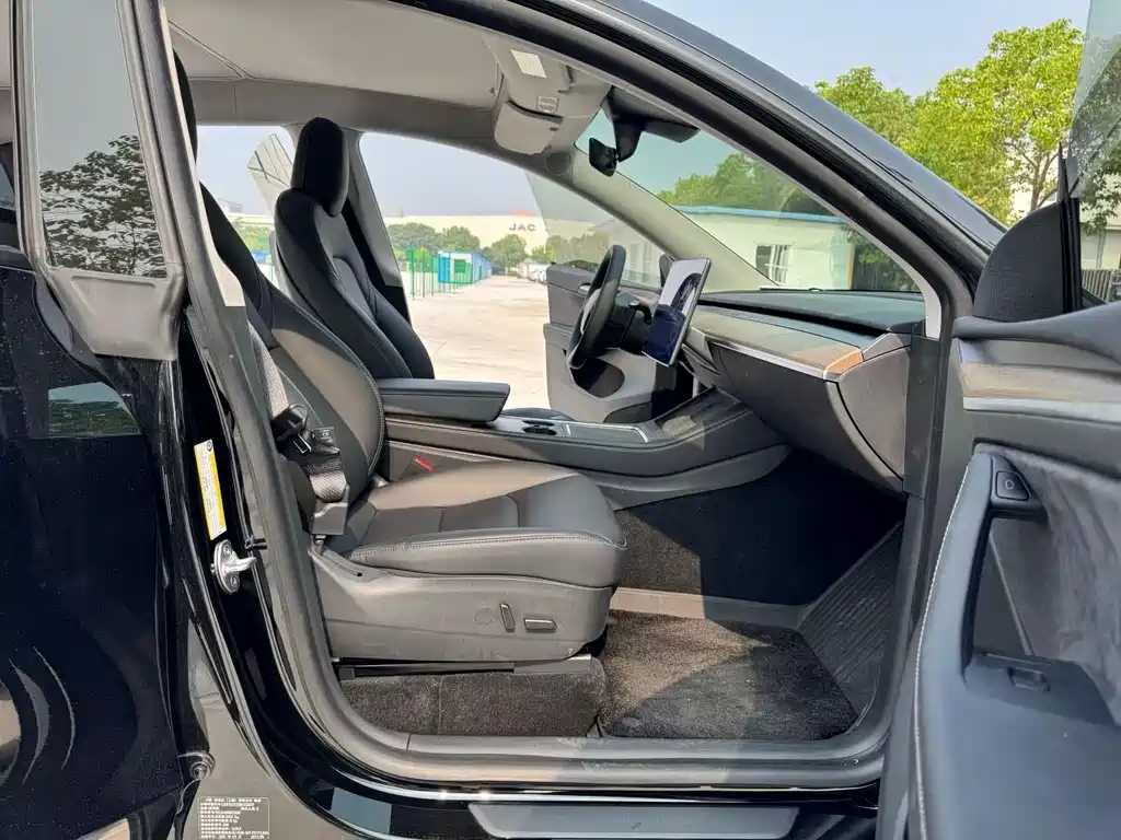 Tesla Model Y — миниатюра 7