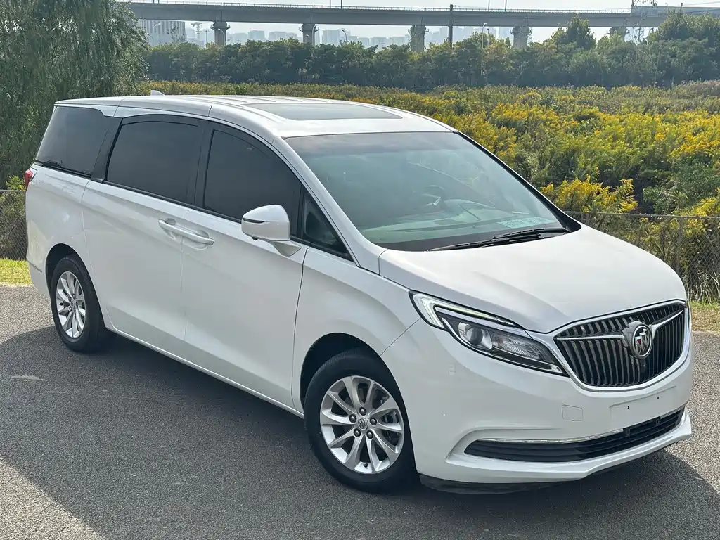 Buick GL8 — миниатюра 3