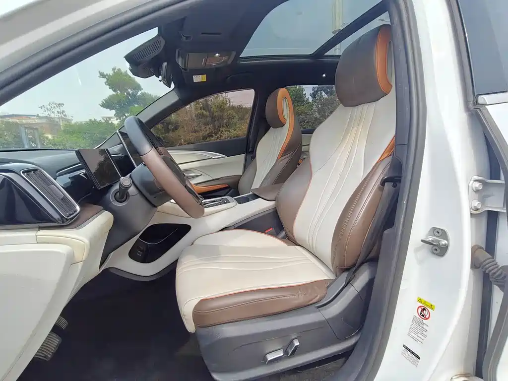 BYD Pro New Energy — миниатюра 8