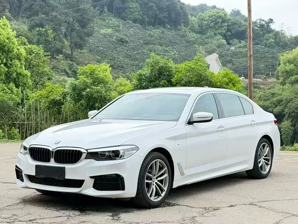 BMW 5 Series 2020