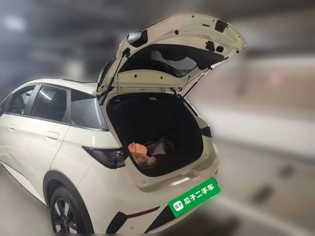 BYD Dolphin — миниатюра 15