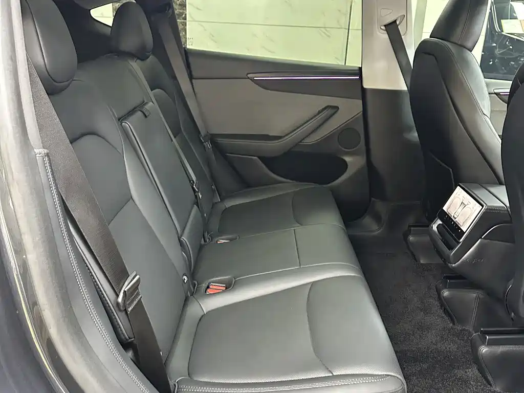 Tesla Model Y — миниатюра 11
