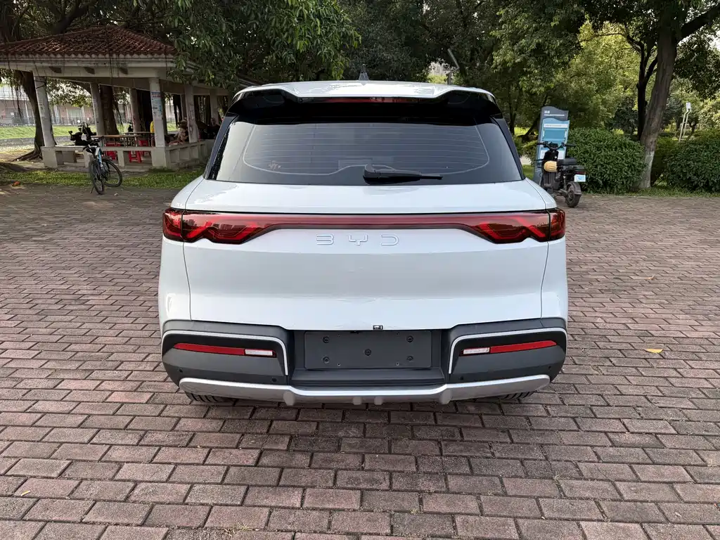 BYD Yuan Up UP 2024 401KM Lead
