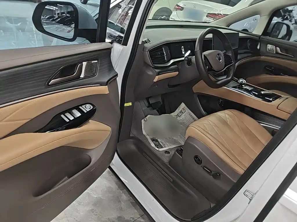 Denza Denza D9 — миниатюра 16