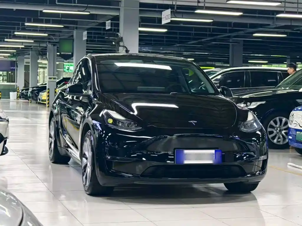 Tesla Model Y — миниатюра 4