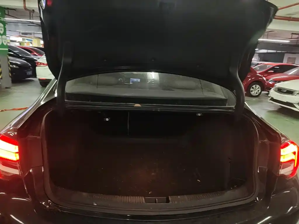 Buick Regal — миниатюра 19
