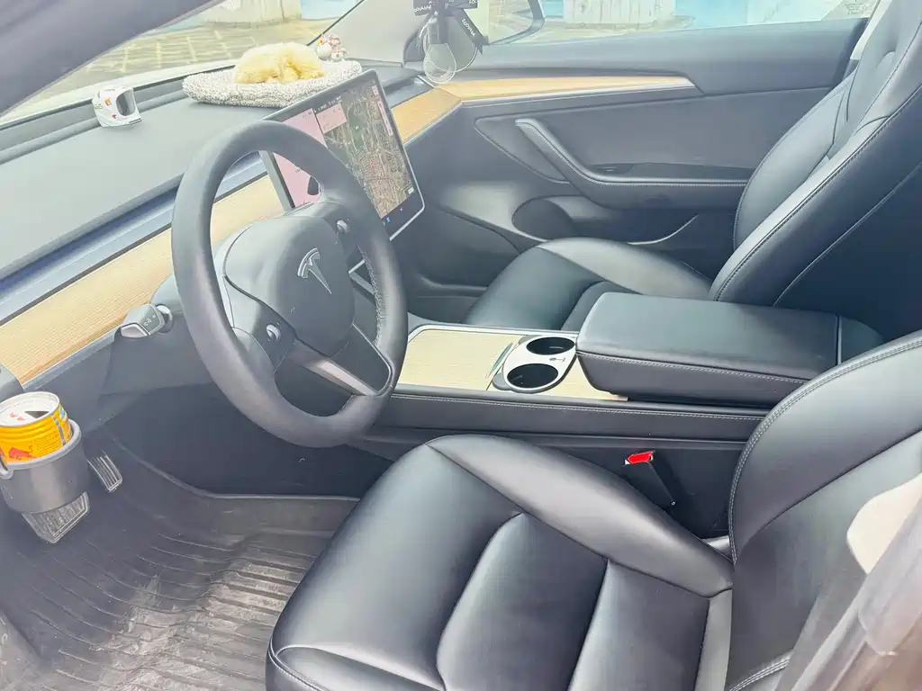 Tesla Model 3 — миниатюра 9
