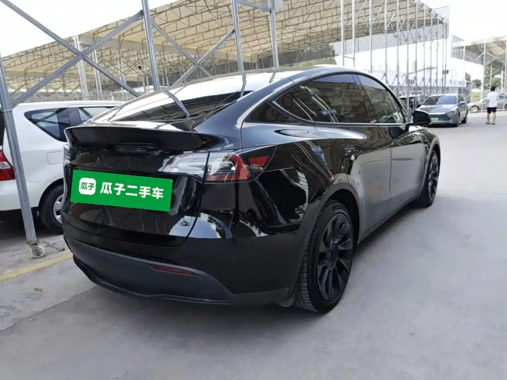 Tesla Model Y — миниатюра 7