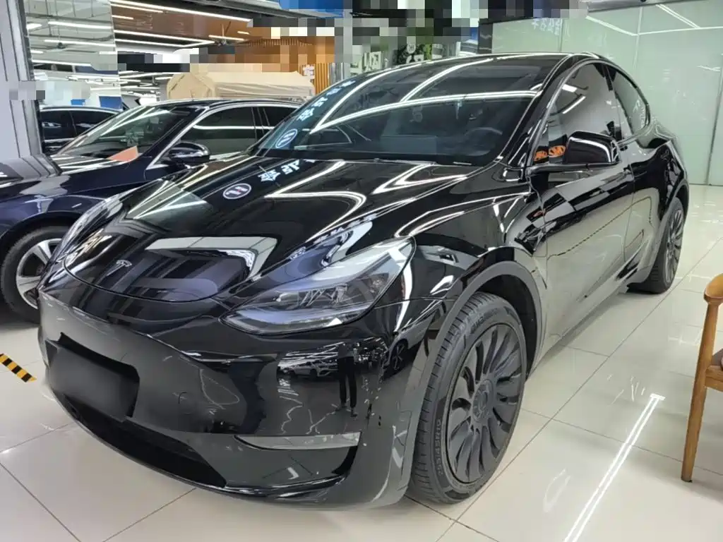 Tesla Model Y — миниатюра 2