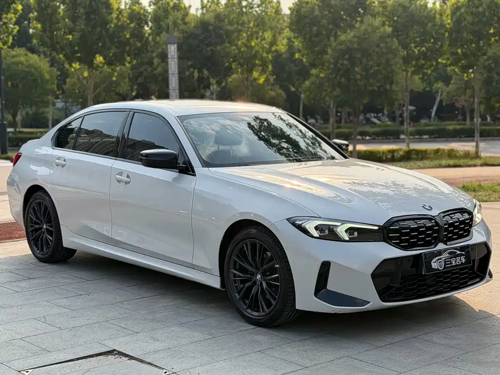 BMW 3 Series — миниатюра 2