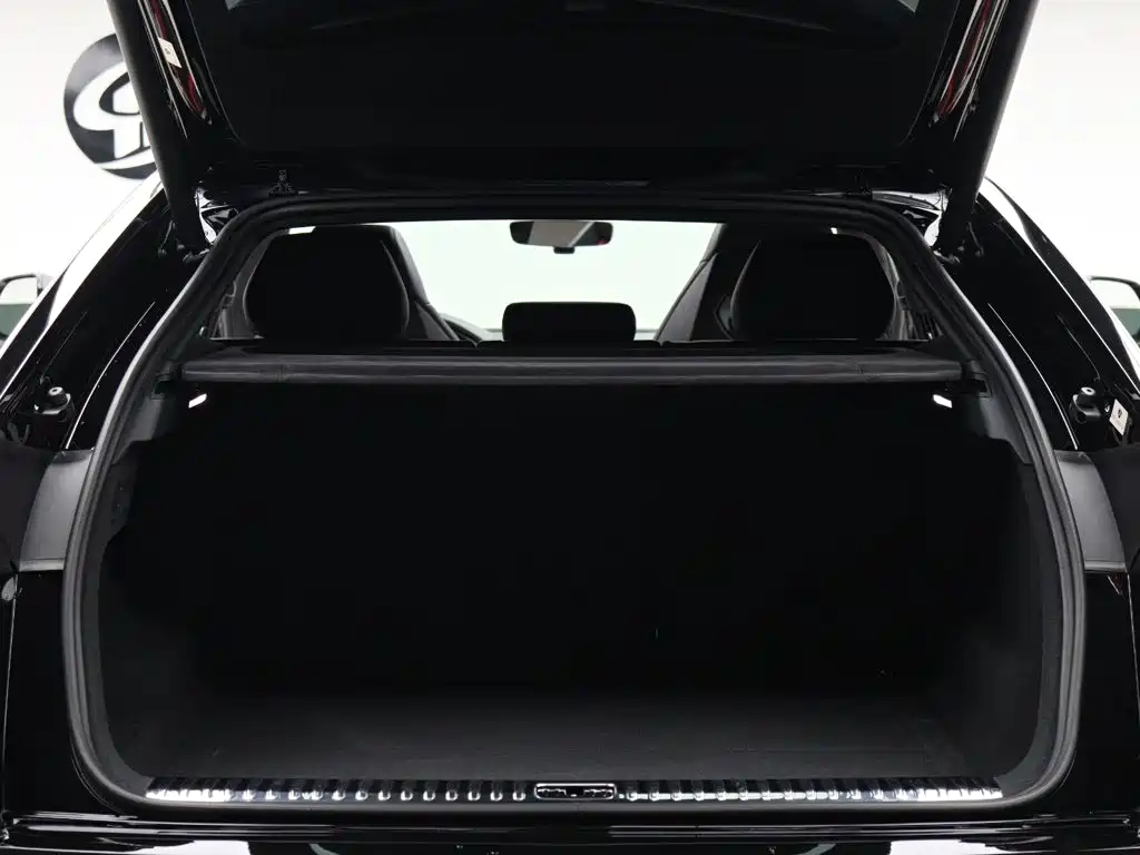 Lamborghini Urus 4.0T V8, фото 11