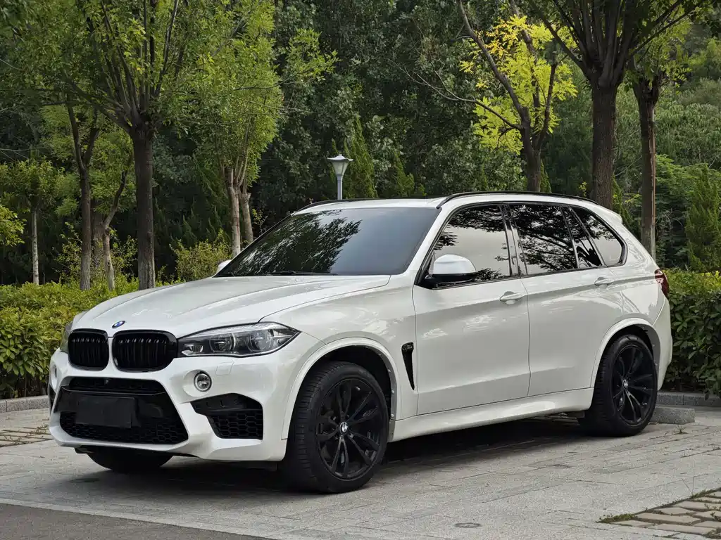 2017 BMW X5 - zdjęcie 1 z 20