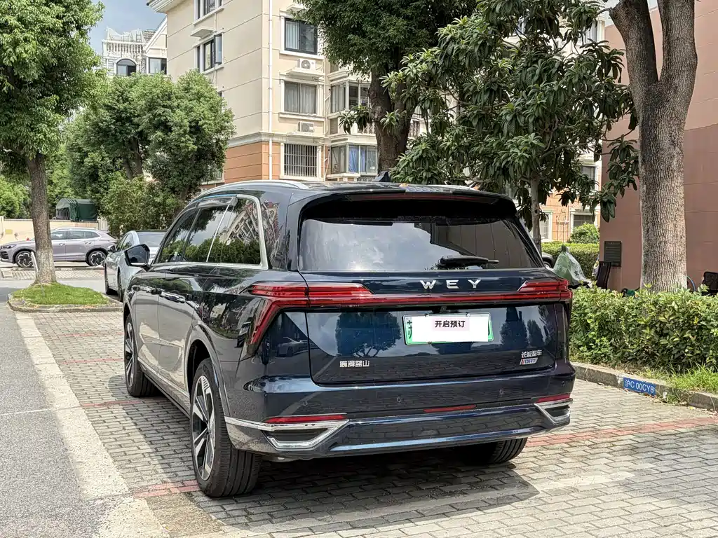 Wey Wey Lanshan — миниатюра 12