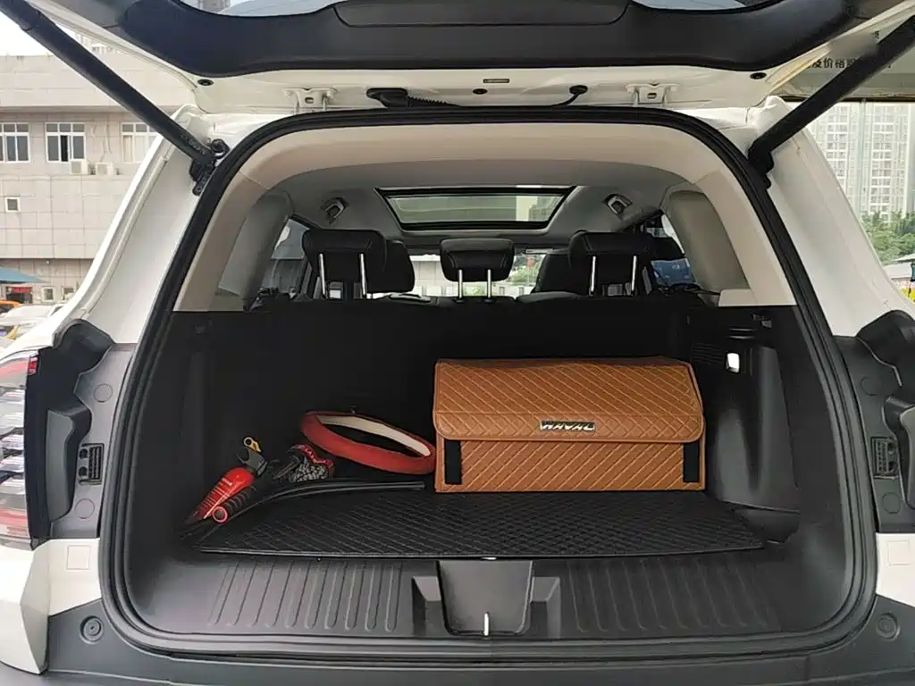 Haval Big Dog — миниатюра 19