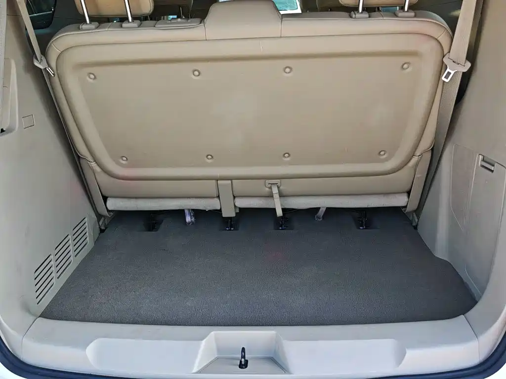 Buick GL8 — миниатюра 10