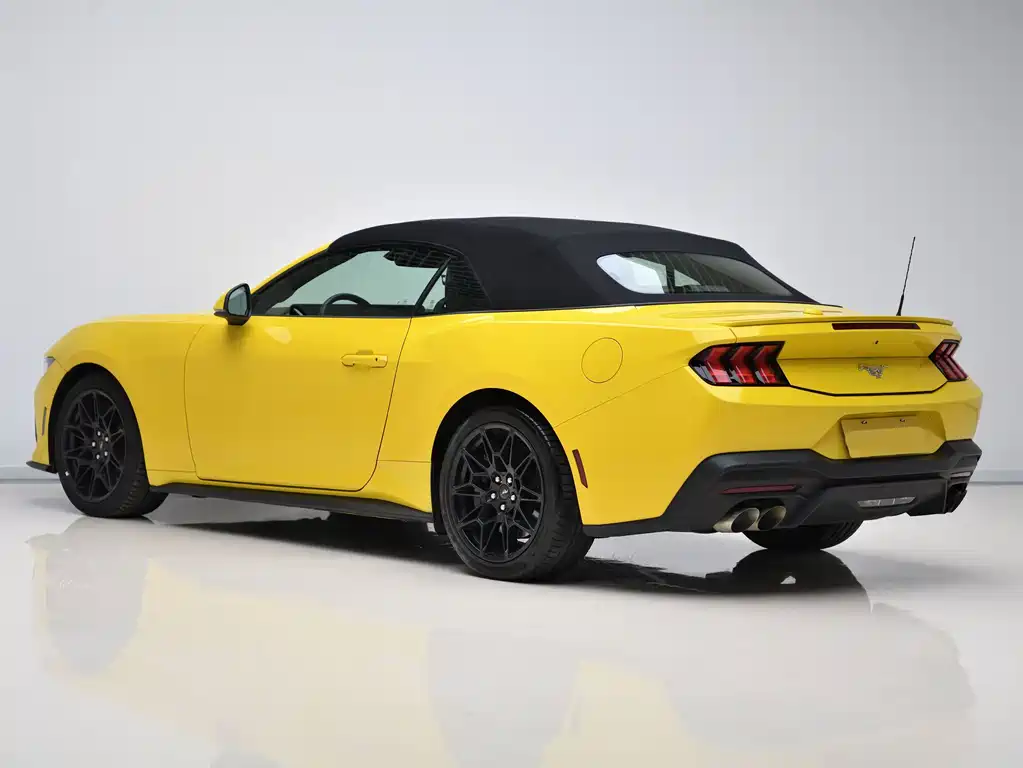 Ford Mustang — миниатюра 4