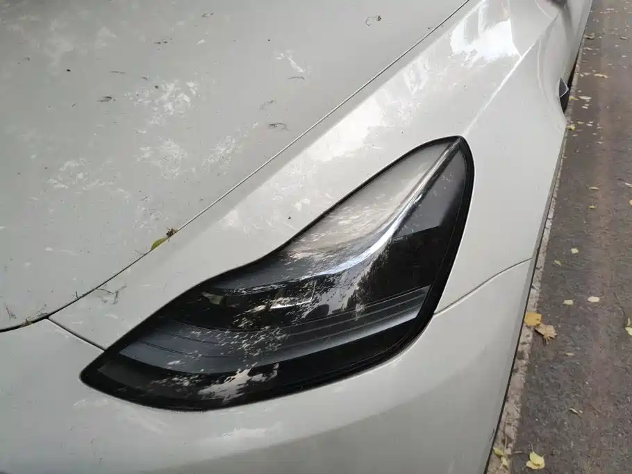 Tesla Model Y — миниатюра 5