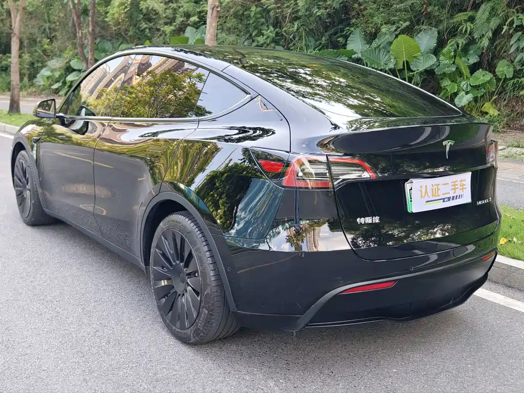 Tesla Model Y — миниатюра 7