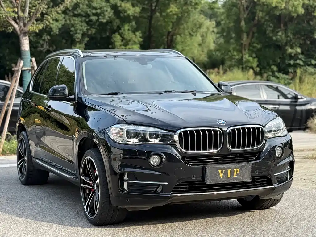 BMW X5 (Import) — миниатюра 3