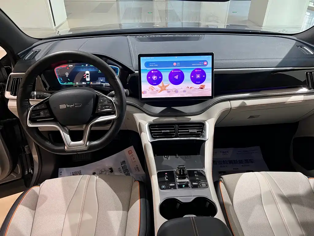 BYD PLUS New Energy — миниатюра 9