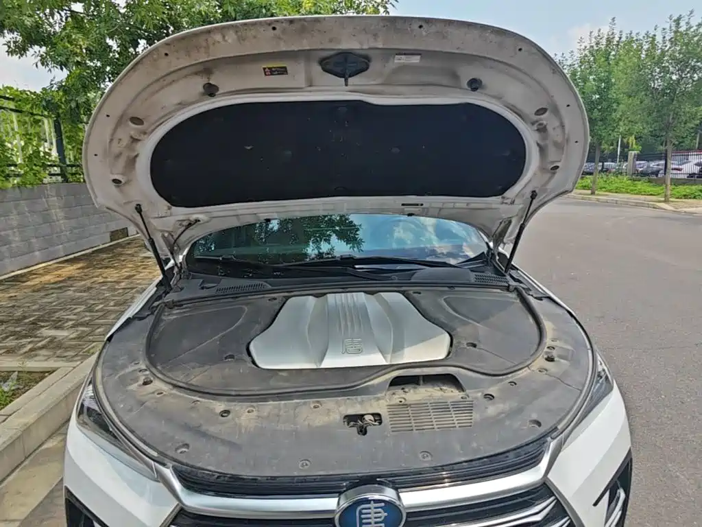 BYD Tang New Energy — миниатюра 20