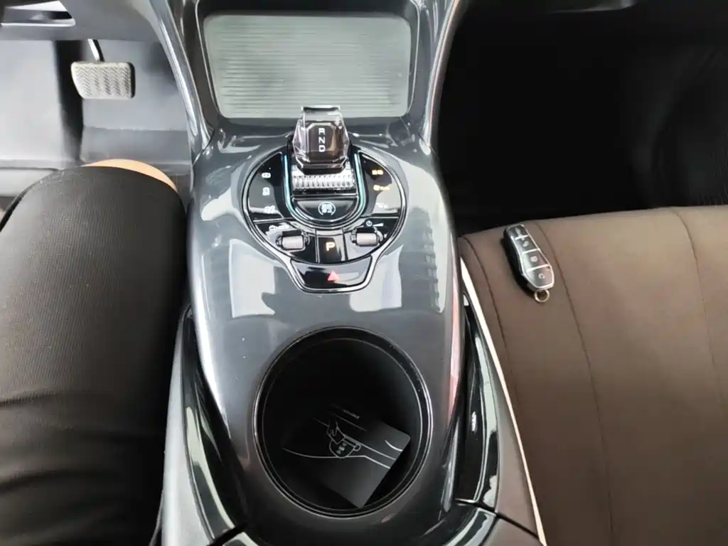 BYD e2 — миниатюра 14