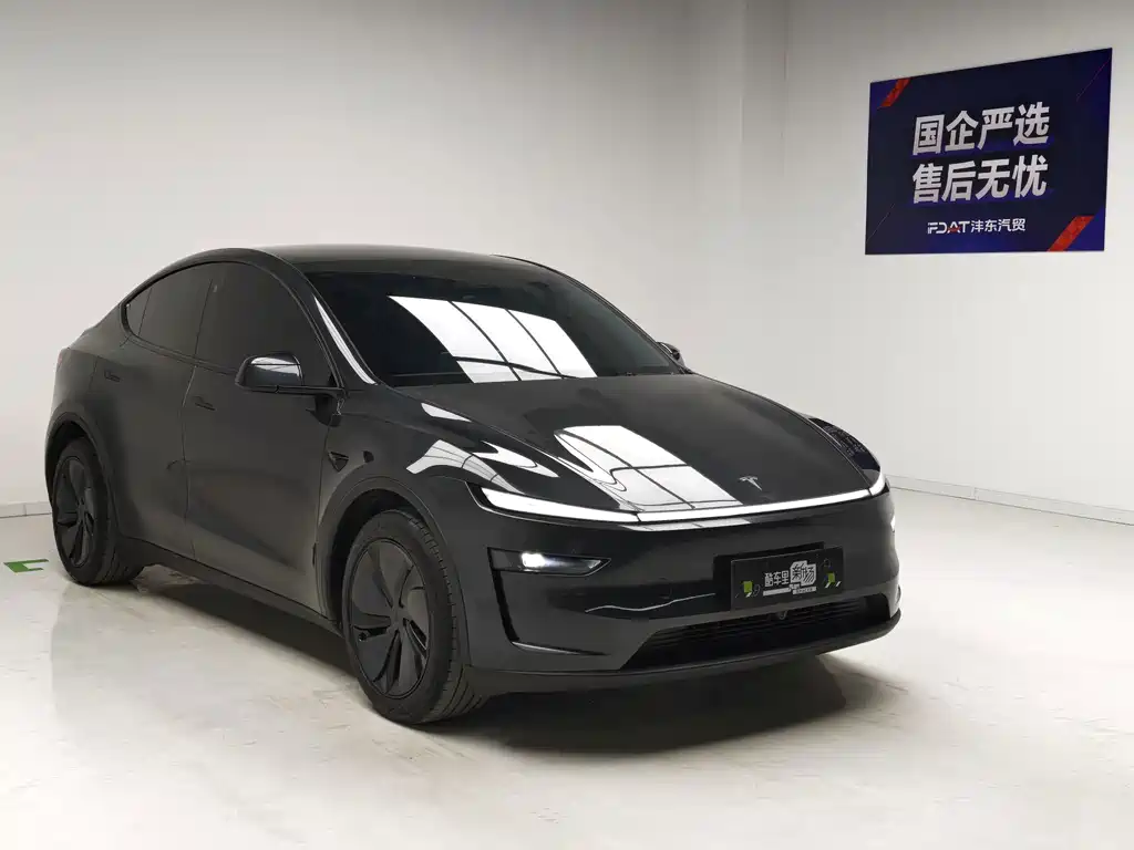 Tesla Model Y — миниатюра 3