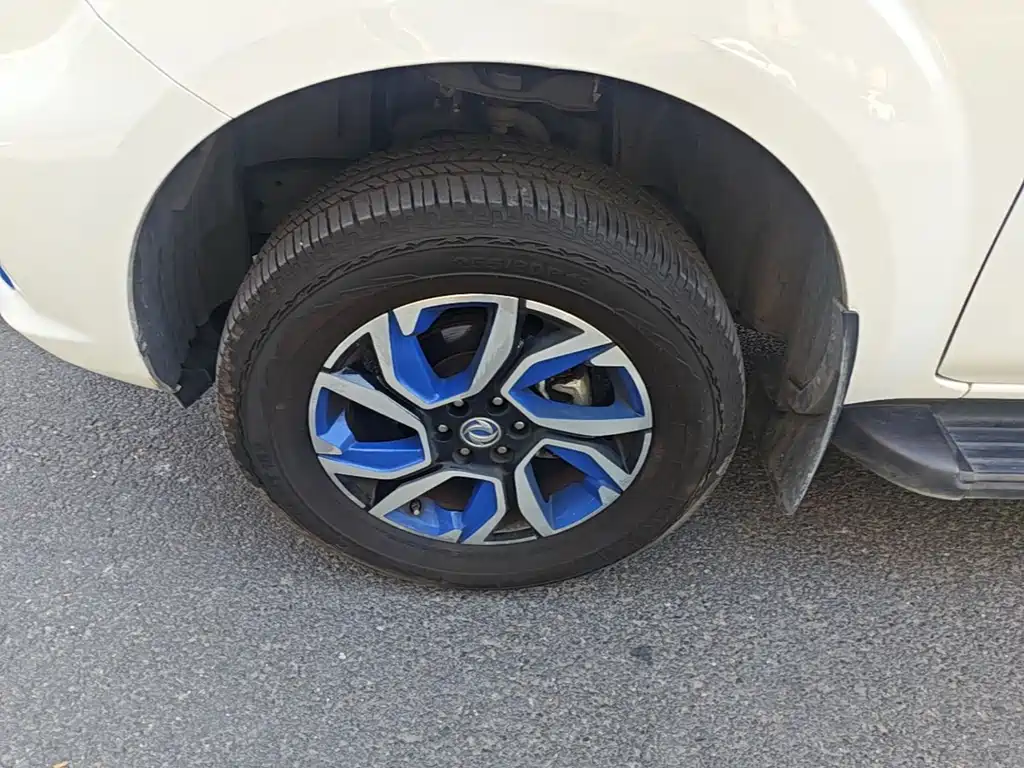 Dongfeng Rich 6 New Energy — миниатюра 22