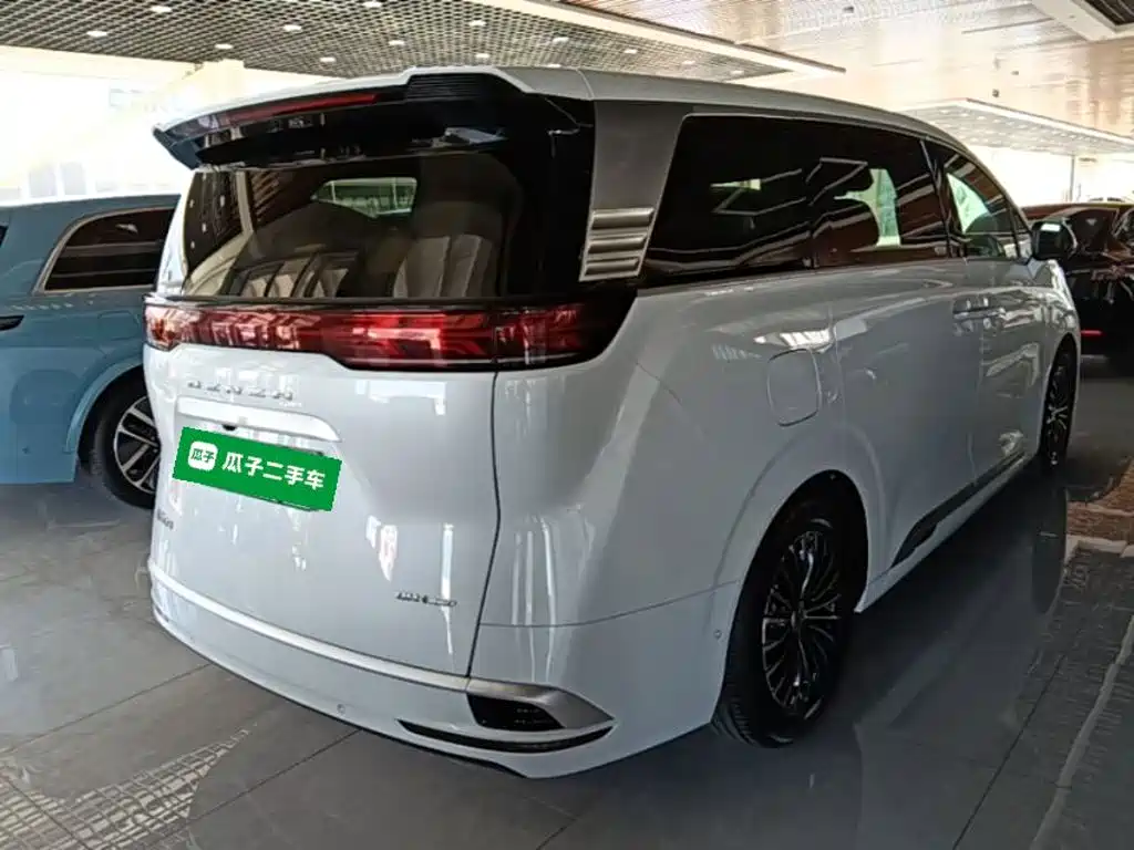 Denza Denza D9 — миниатюра 7