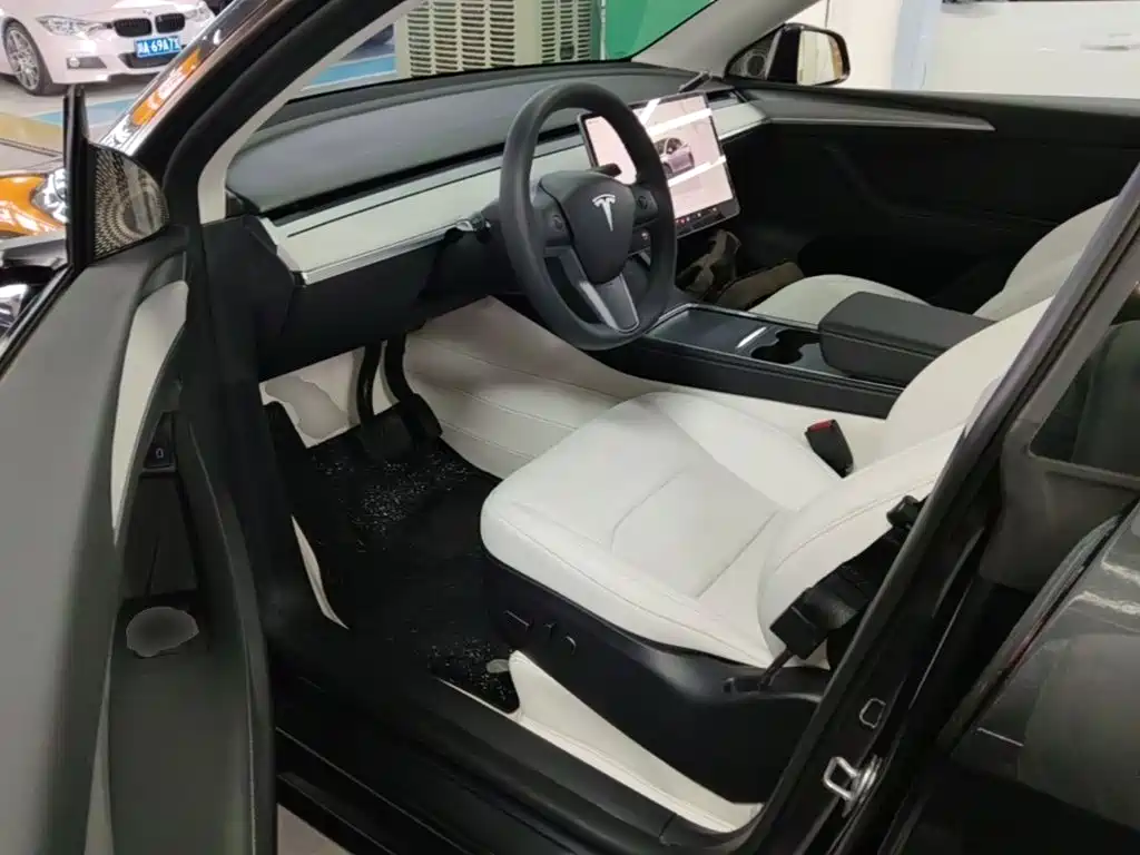 Tesla Model Y — миниатюра 16