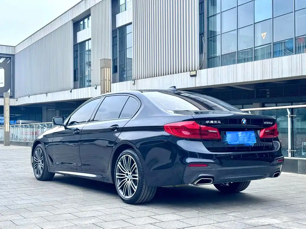 BMW 5 Series 5 2019 530Li Premium M Sport