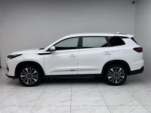 Chery Tiggo 8 PRO Champion Edition 390T 2WD Peak Edition 5 seats, фото 4