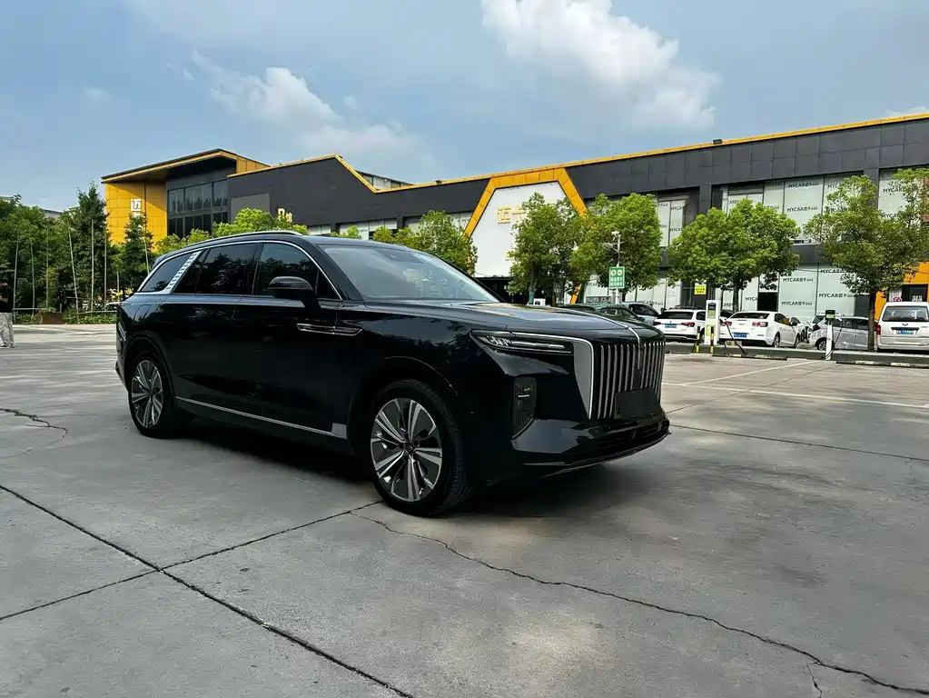 Hongqi Hongqi E-HS9 — миниатюра 3