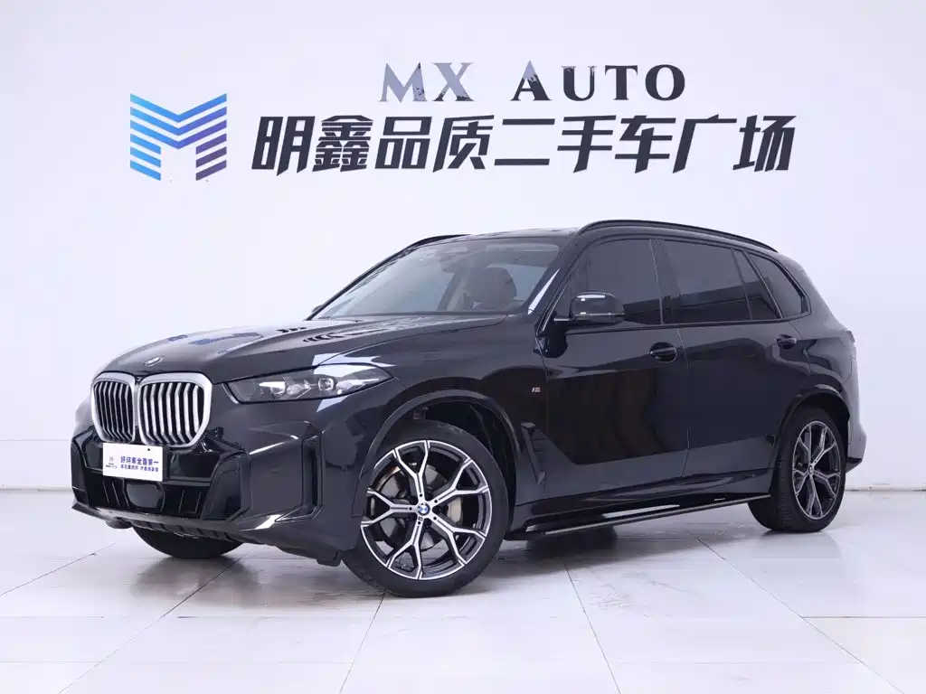 BMW X5 — миниатюра 2