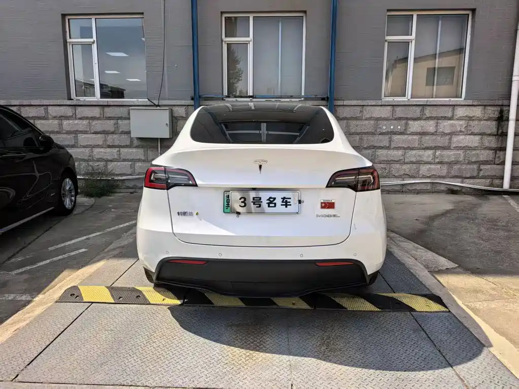 Tesla Model Y — миниатюра 2