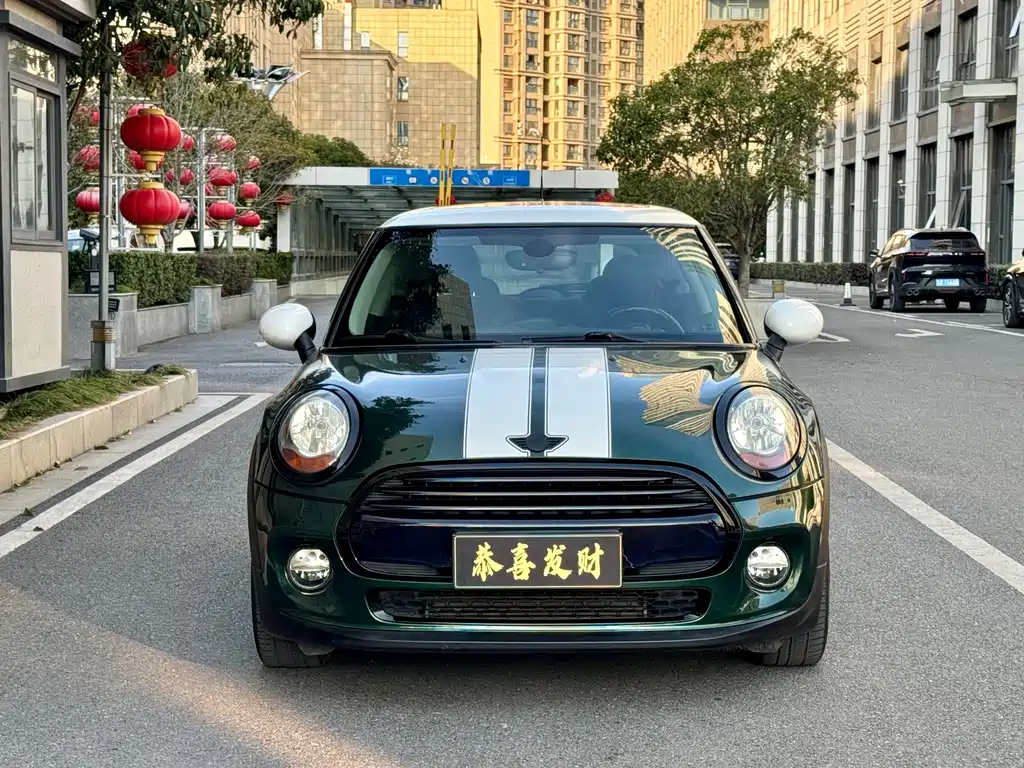 Mini Mini 2017