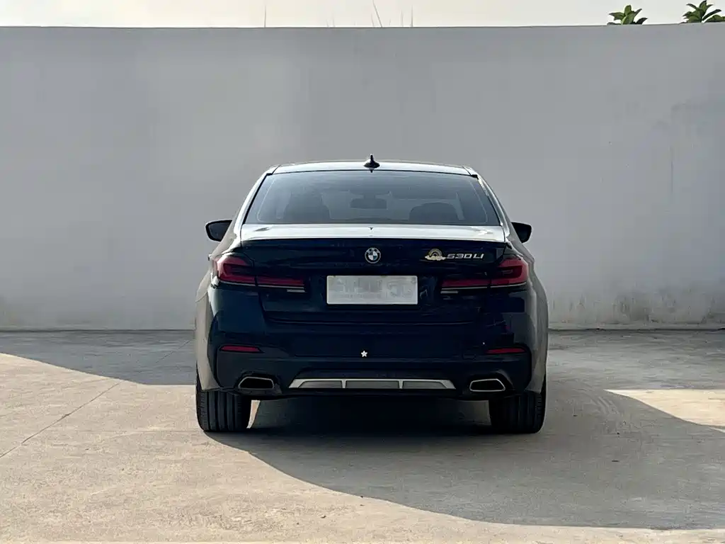 BMW 5 Series — миниатюра 5