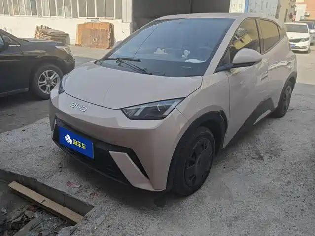 BYD Seagull