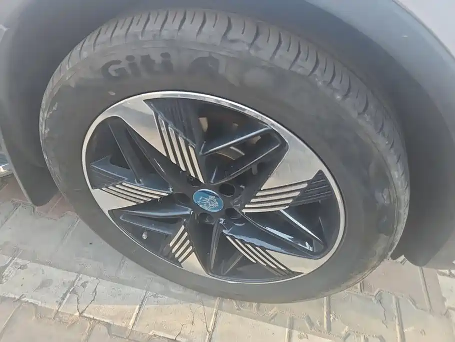 BYD Tang New Energy — миниатюра 6