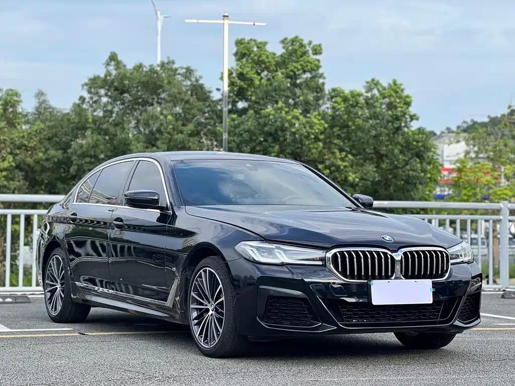 BMW 5 Series — миниатюра 3