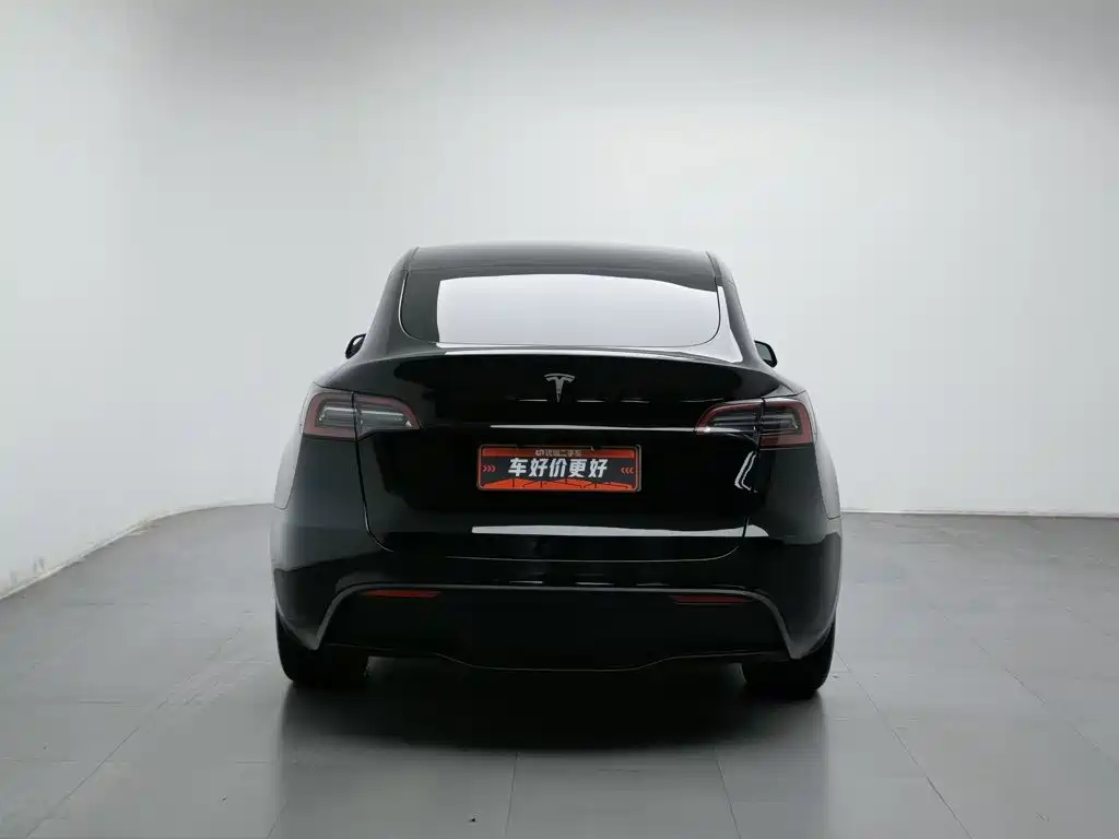 Tesla Model Y — миниатюра 4