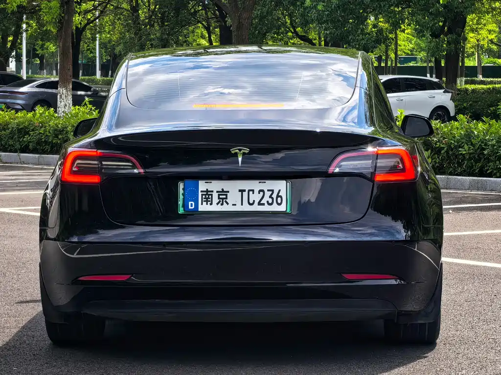Tesla Model 3 — миниатюра 3