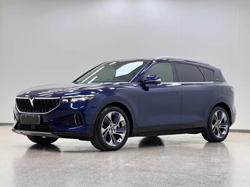 Voyah FREE 2021 4WD Standard EREV Exclusive Luxury Package