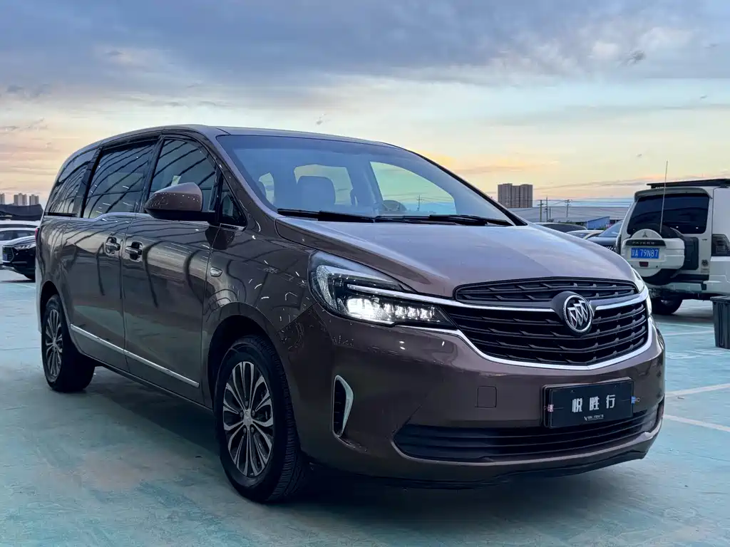Buick GL8 — миниатюра 3
